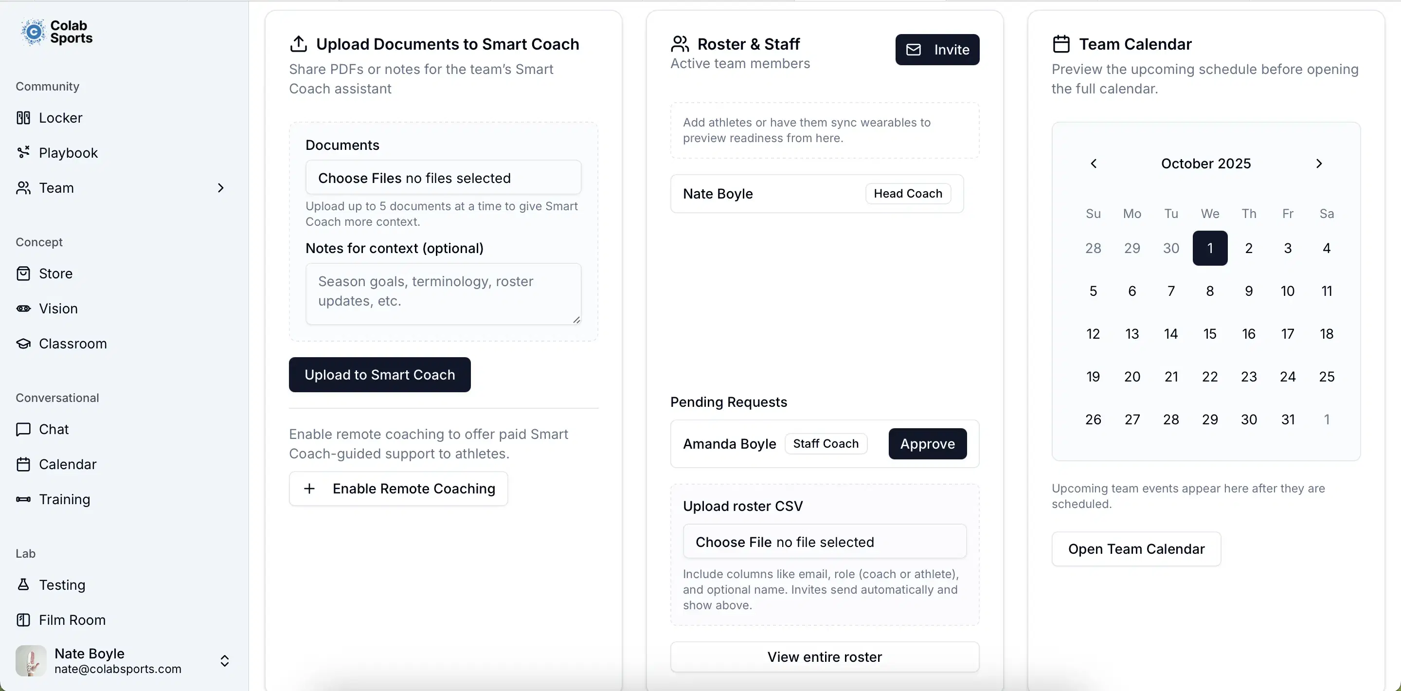 Coach workspace overview